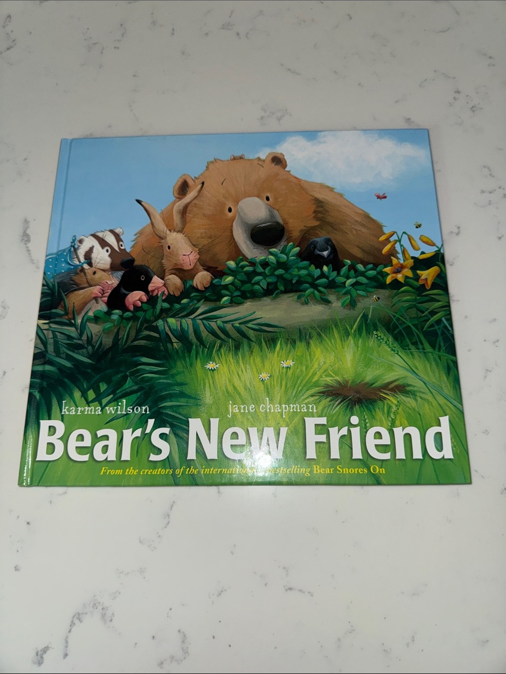 Bear’s New Friend book